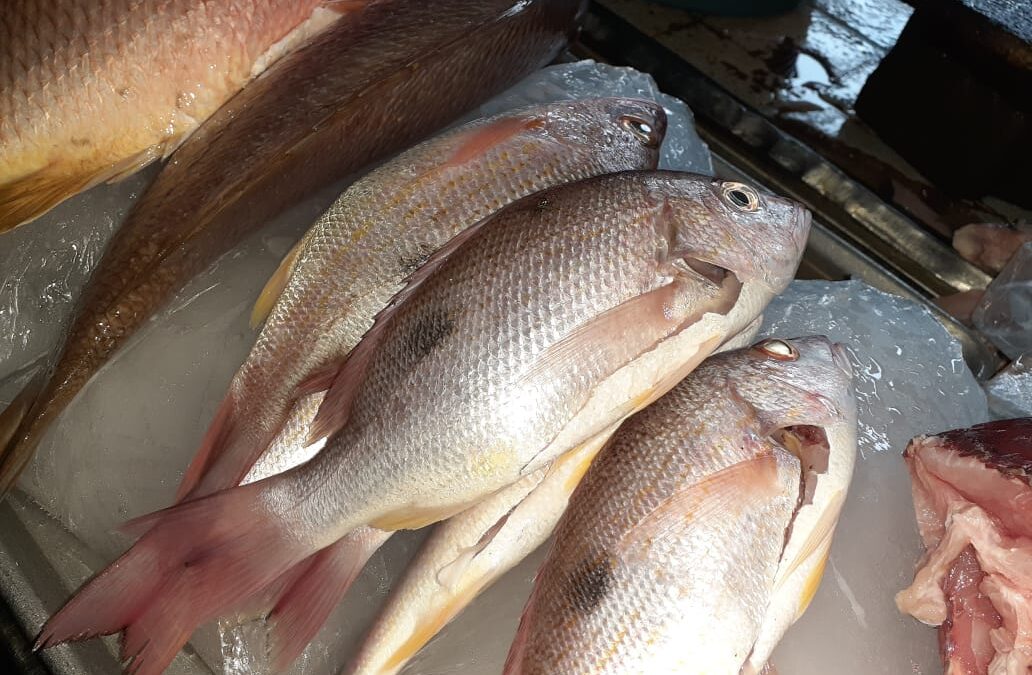 Registran buenas ventas de mariscos en fin de semana