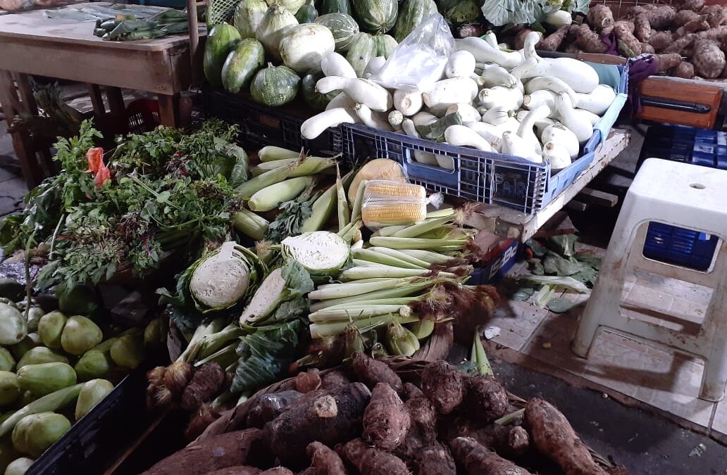 Precio de las Verduras y frutas en el Iván Montengro se mantienen estables