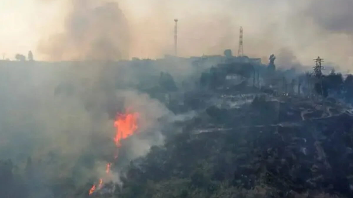 Alerta Roja en Chile ante incendios forestales y ola de calor