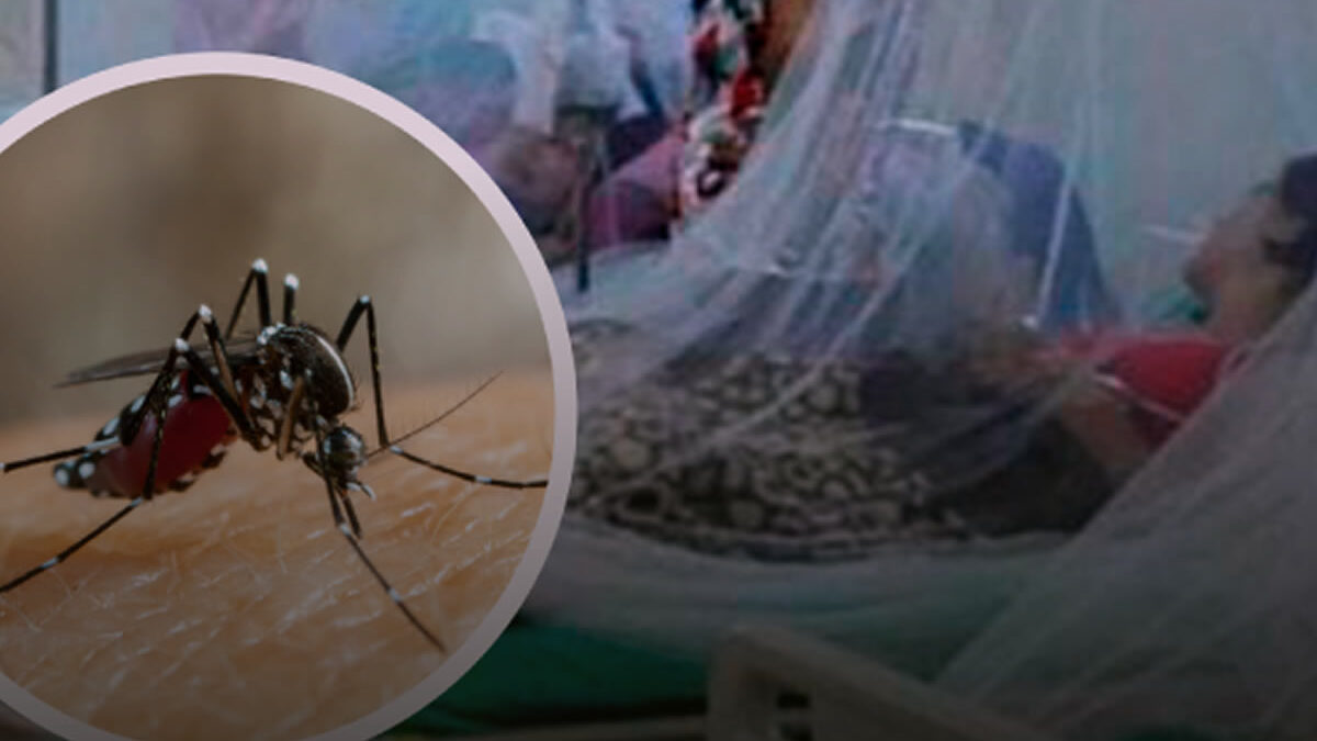 El dengue cobra 17 vidas en Perú y los casos siguen en aumento