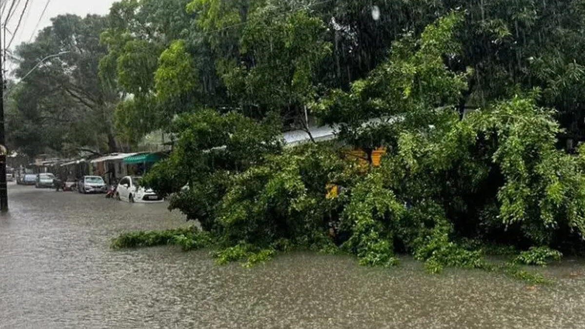 Lluvias torrenciales dejan siete víctimas mortales y activan alerta máxima en Brasil