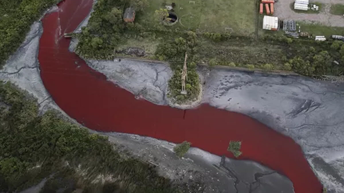 El misterio del agua roja en el Canal Sarandí que preocupa a los residentes